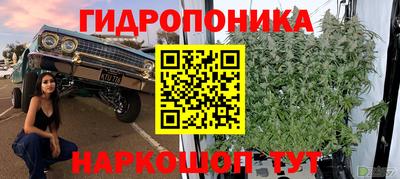 гидропоника Берёзовский